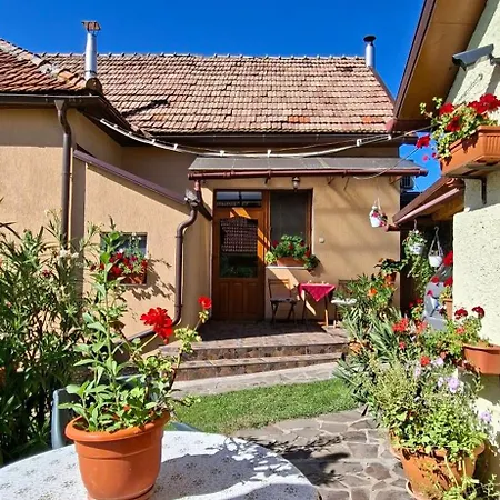 Garden Appartement *